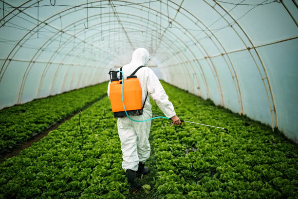 Best Pest Prevention Services  in Chualar, CA