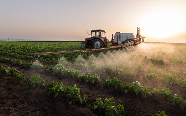 Reliable Chualar, CA Pest Control Solutions