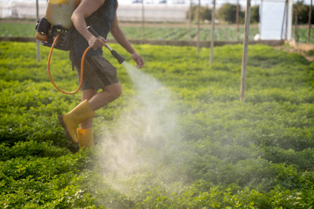 Best Insect Control  in Chualar, CA