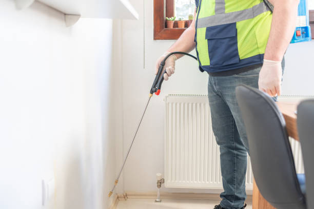 Flea Control Services in Chualar, CA