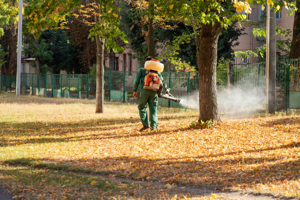 Best Pest Control Near Me  in Chualar, CA