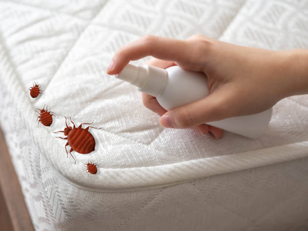 Best Residential Pest Control  in Chualar, CA