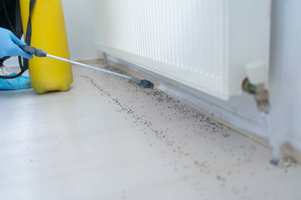 Best Commercial Pest Control Services  in Chualar, CA