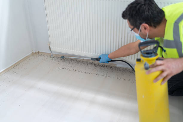 Best Pest Control for Restaurants  in Chualar, CA