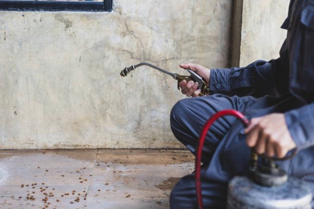 Best Pest Removal Services  in Chualar, CA